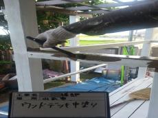 変換 ~ c20150818sta000010.jpg