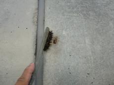 変換 ~ c20170121hna000001.jpg