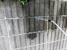 変換 ～ c20170813asa000016.jpg