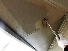 変換 ～ c20170813asa000022.jpg