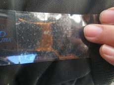 変換 ~ m20150707eda000010.jpg