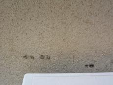 変換 ～ m20151013iga000006.jpg