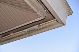 汚れ　雨樋　軒天