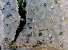 ヒビ割れ　カベ