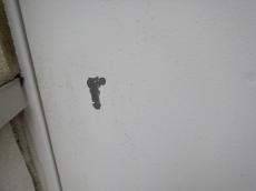 変換 ~ m20170121hna000007.jpg