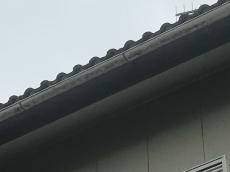 変換 ～ m20171206sba000012.jpg