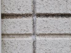 変換 ～ m20171206yya000002.jpg