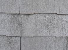 変換 ～ m20171206yya000003.jpg