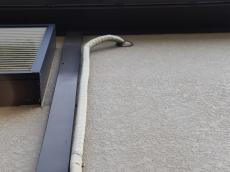 変換 ～ m20180303ska000028.jpg