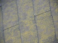 成田市 協伸 外壁　屋根　