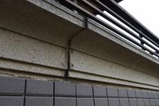 2019 1119 Gsama mae13.JPG