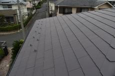 2019 1119 Gsama mae30.JPG