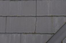 2019 1119 Gsama mae32.JPG