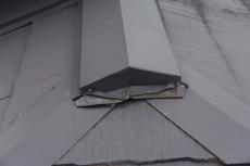 2019 1119 Gsama mae38.JPG