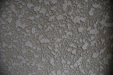 2019 1119 Gsama mae41.JPG