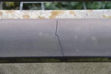 2019 1119 Gsama mae43.JPG