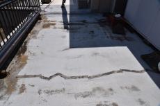 2019 1128 Isama mae03.JPG