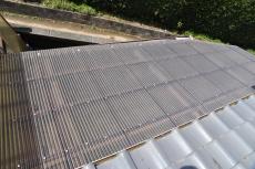 2019 1128 Isama mae18.JPG