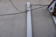 2019 1128 Isama mae24.JPG