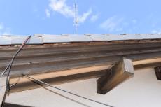 2019 1128 Isama mae29.JPG