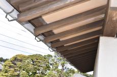 2019 1128 Isama mae30.JPG