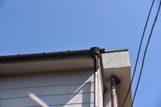 2019 1128 Isama mae48.JPG