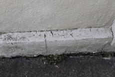 2019 1128 Isama mae56.JPG