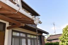 2019 1128 Isama mae60.JPG