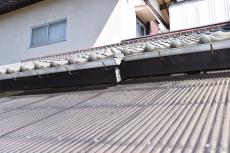 2019 1128 Isama mae67.JPG