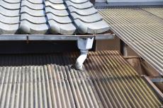 2019 1128 Isama mae68.JPG