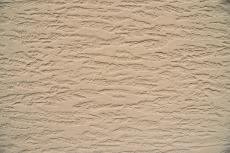 2019 1128 Tsama mae01.JPG