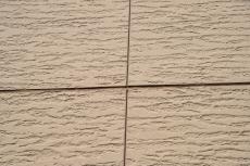 2019 1128 Tsama mae04.JPG