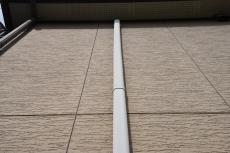 2019 1128 Tsama mae06.JPG