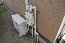 2019 1128 Tsama mae11.JPG