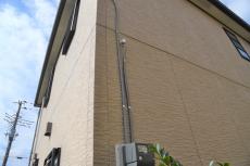 2019 1128 Tsama mae15.JPG