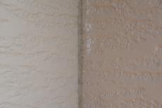 2019 1128 Tsama mae16.JPG