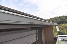 2019 1128 Tsama mae17.JPG