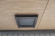 2019 1128 Tsama mae29.JPG