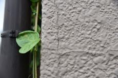 2019 1129 Osama mae11.JPG