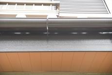 2019 1129 Osama mae19.JPG