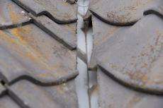 2019 1129 Osama mae37.JPG