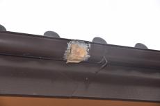 2019 1129 Osama mae52.JPG