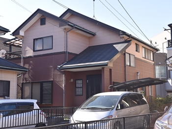 2019 1206 Msama go01.JPG