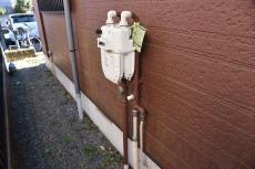 2019 1206 Msama mae03.JPG