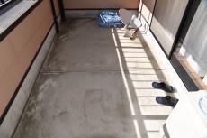 2019 1206 Msama mae08.JPG