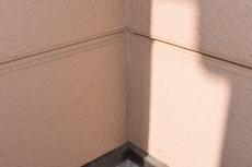 2019 1206 Msama mae11.JPG