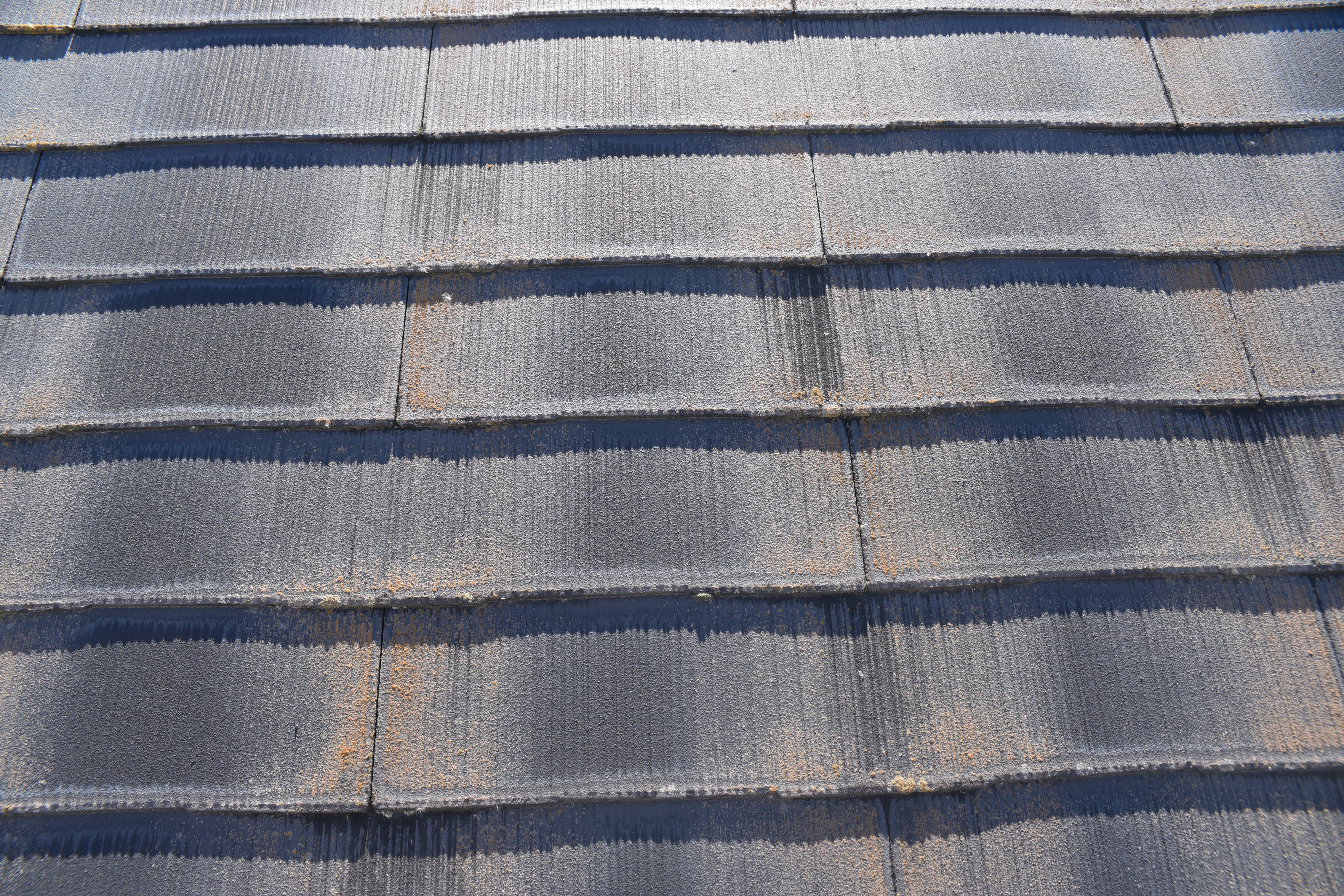 2019 1206 Msama mae22.JPG