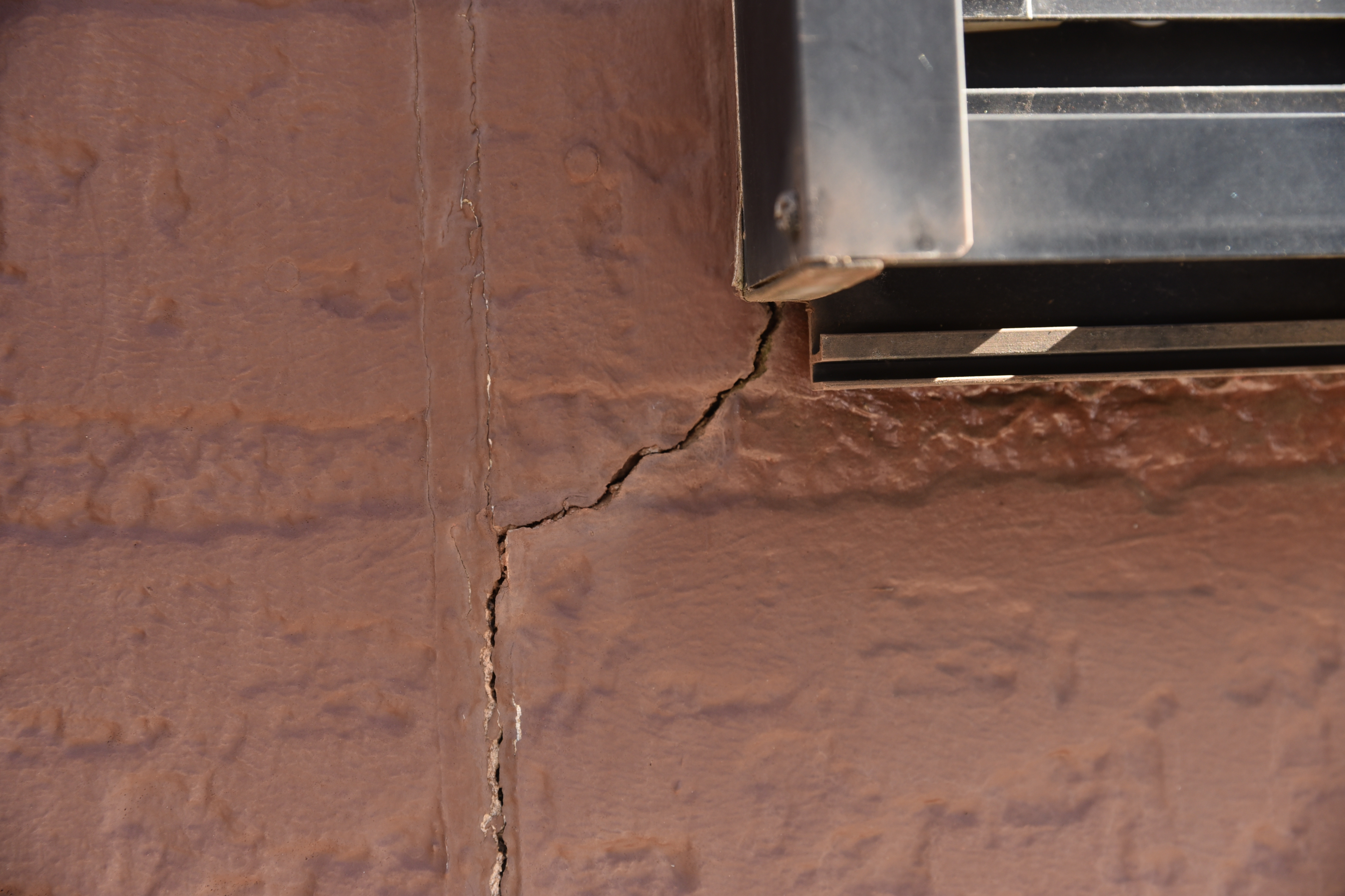 2019 1206 Msama mae28.JPG