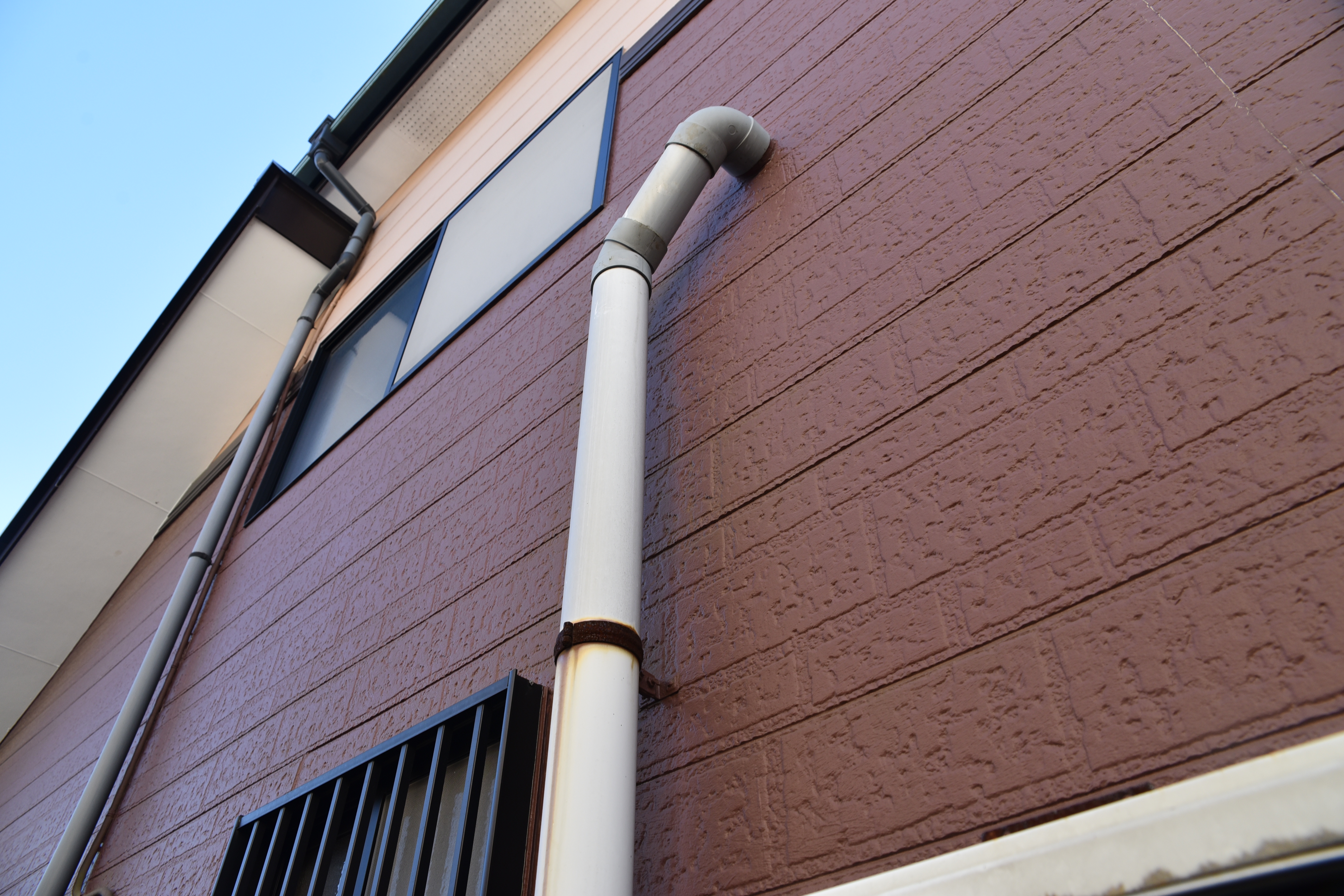 2019 1206 Msama mae35.JPG