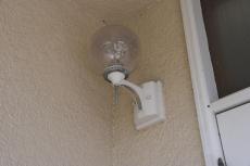 2019 1210 Hsama mae08.JPG